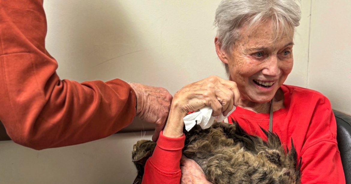 Owner reunited with her cat months after Palisades Fire destroyed Owner reunited with her cat months after Palisades Fire destroyed her home