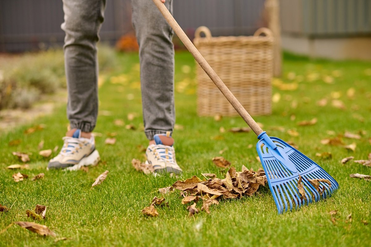 What do you need to do in the spring so that this year has no slugs in your garden?