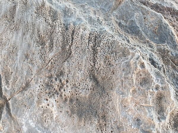 Unknown life form created microtunals in the Namibia desert two million years ago