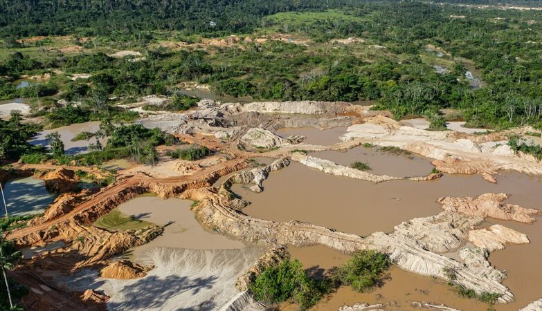 Carbonic pump discovered in the Amazon has a gilded "scar"