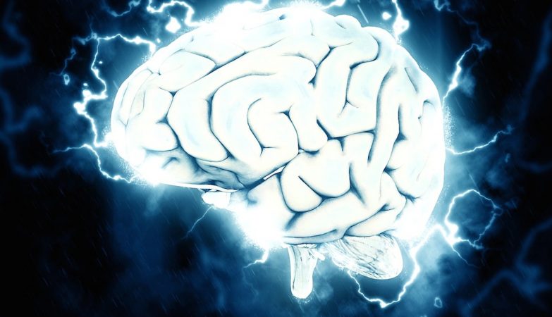 What happens in the brain when we have a word "on the tip of the tongue"?