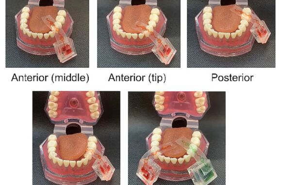 Can already prove food virtually, with an electronic language