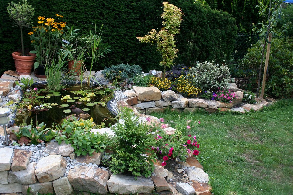 Flower beds with colorful flowers