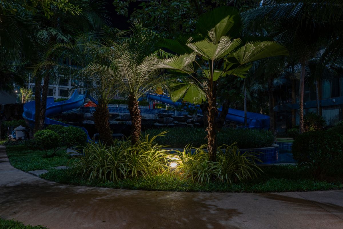 Ideas flower beds with palm trees