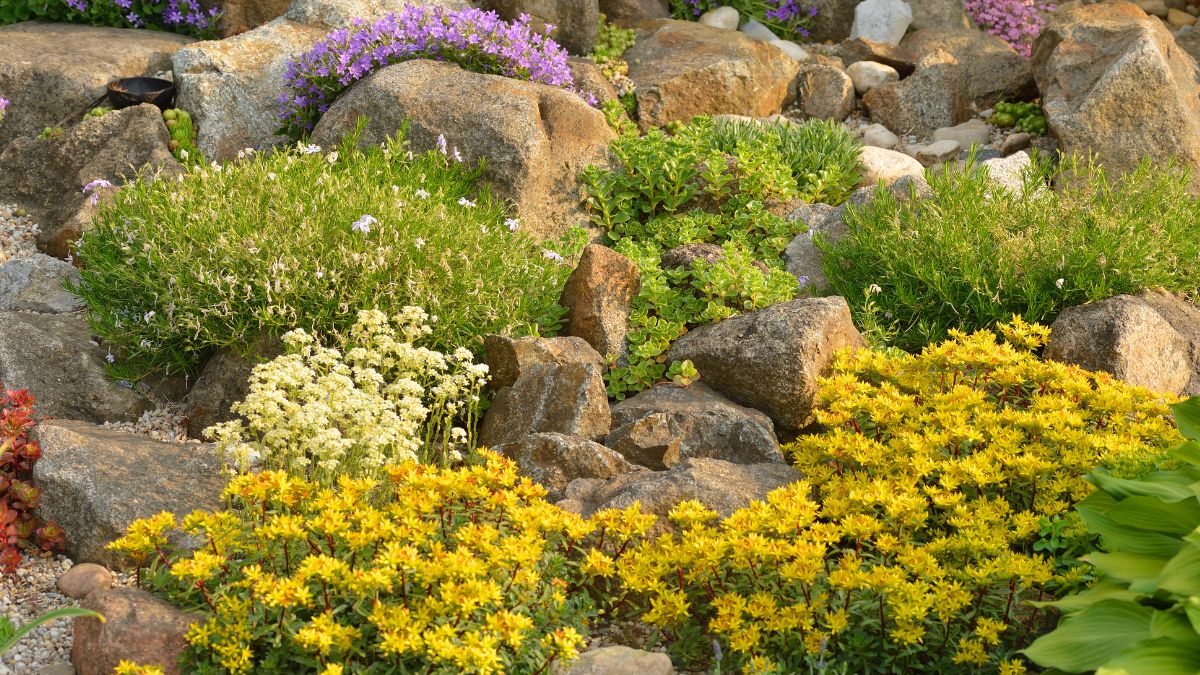 Rocky flower beds