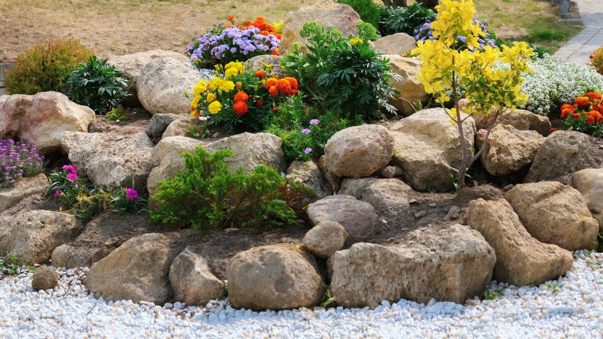 rocky flower beds