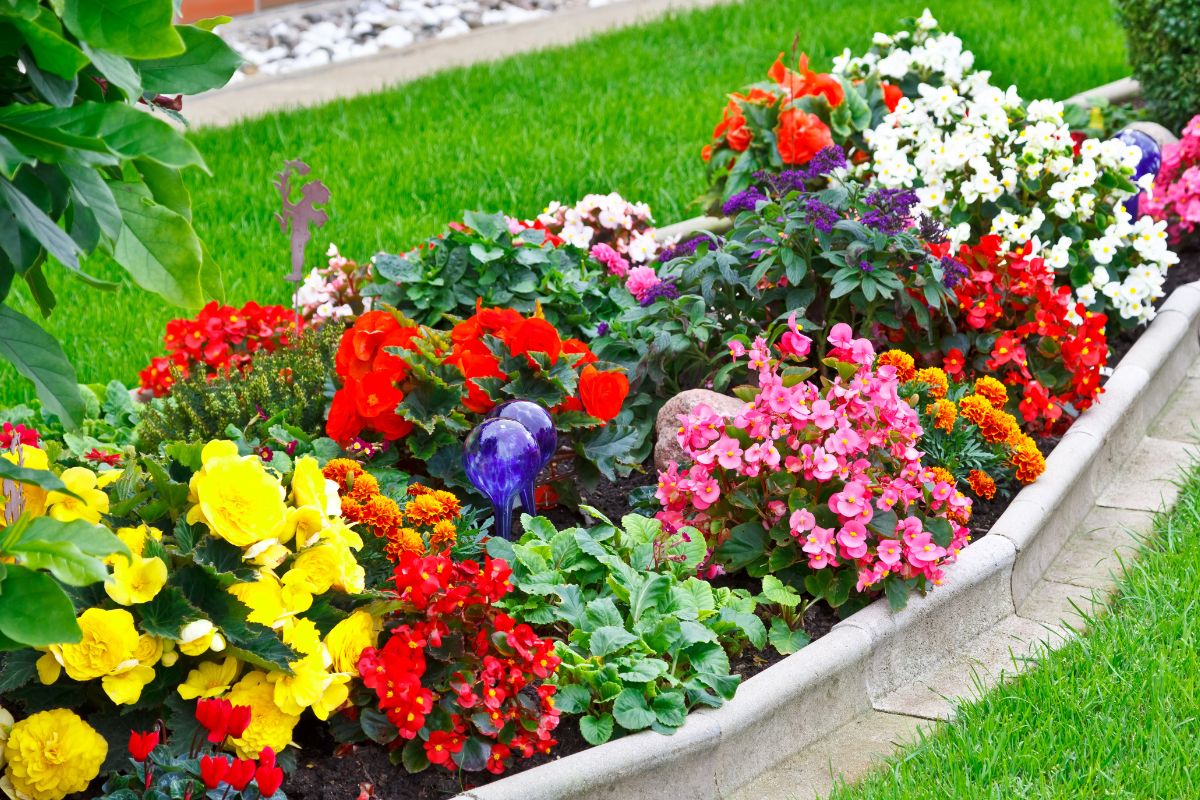 Flower flower beds