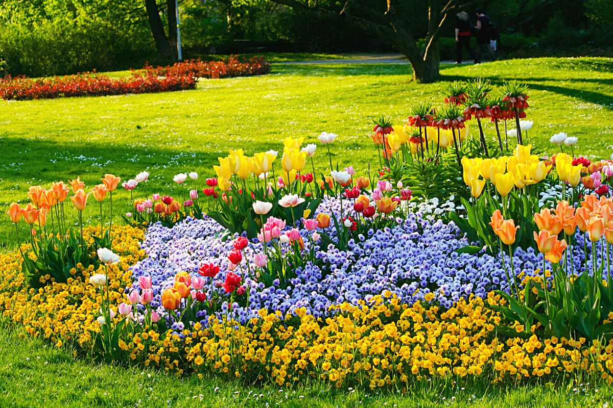 Flowery flower beds