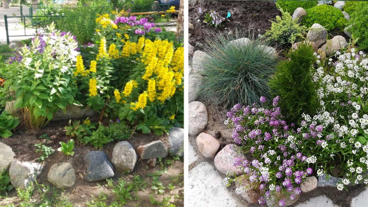 The flower beds with stones in the garden