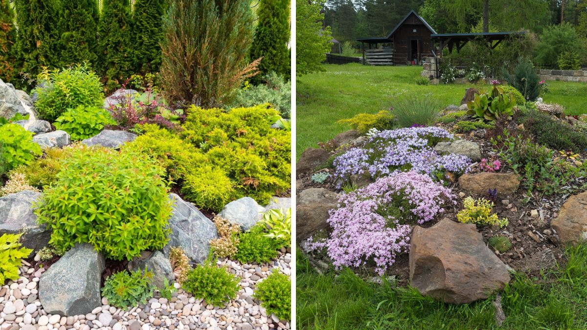 Mediterranean style rocky flowerbed