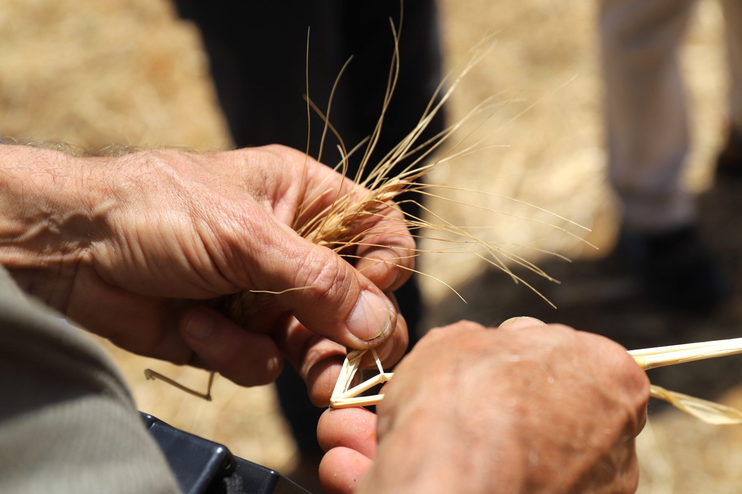 Tavira Municipal Market receives workshop to reinforce the municipality's food network