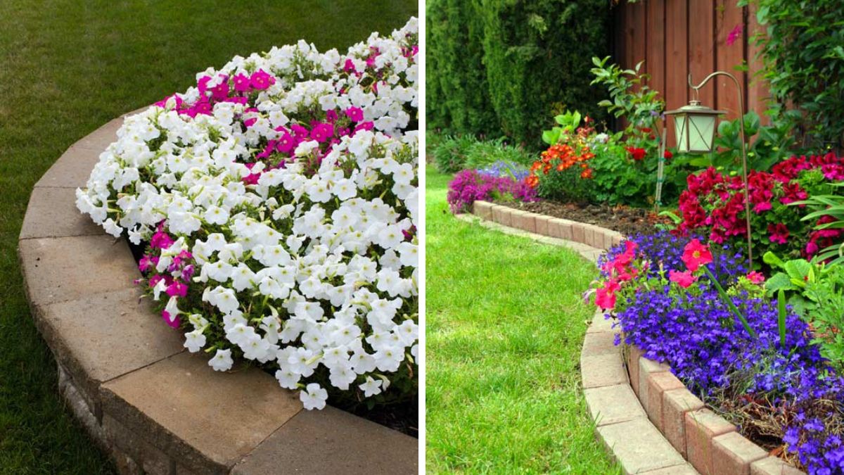 Low flower beds