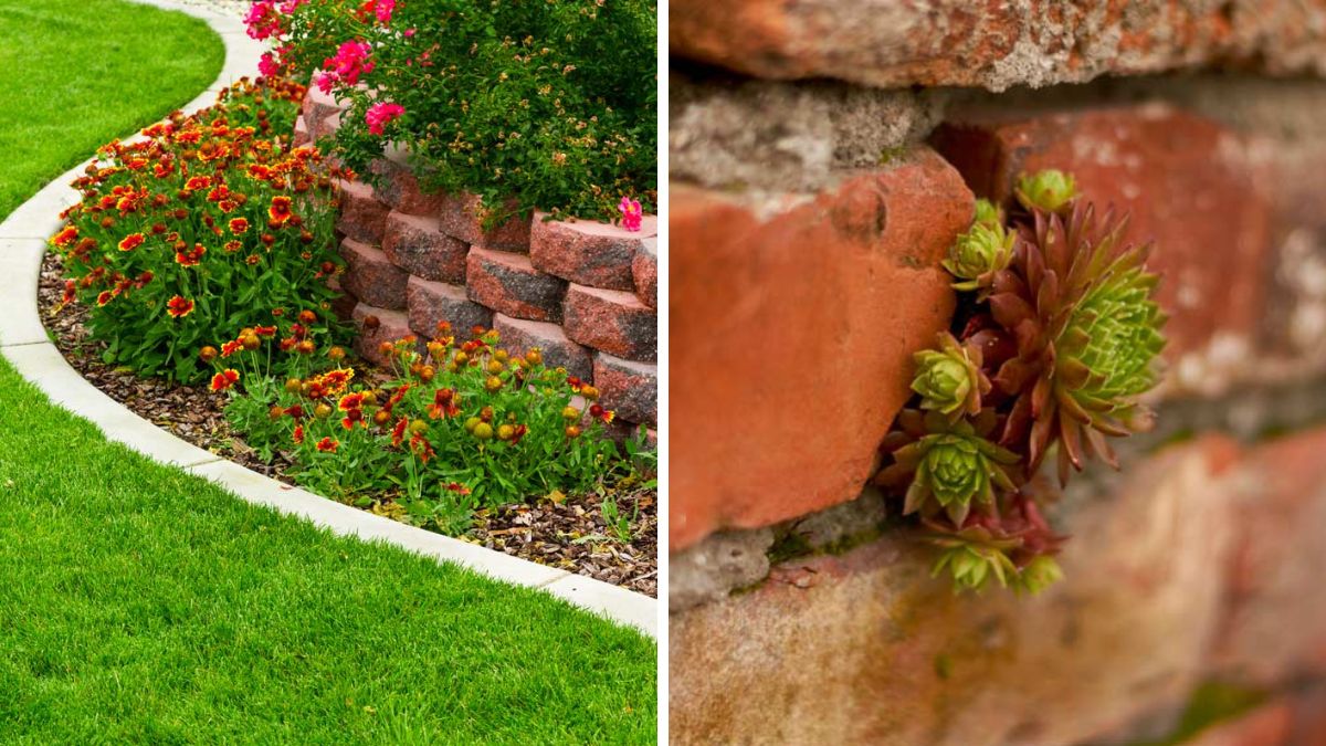 Flower beds with brick wall