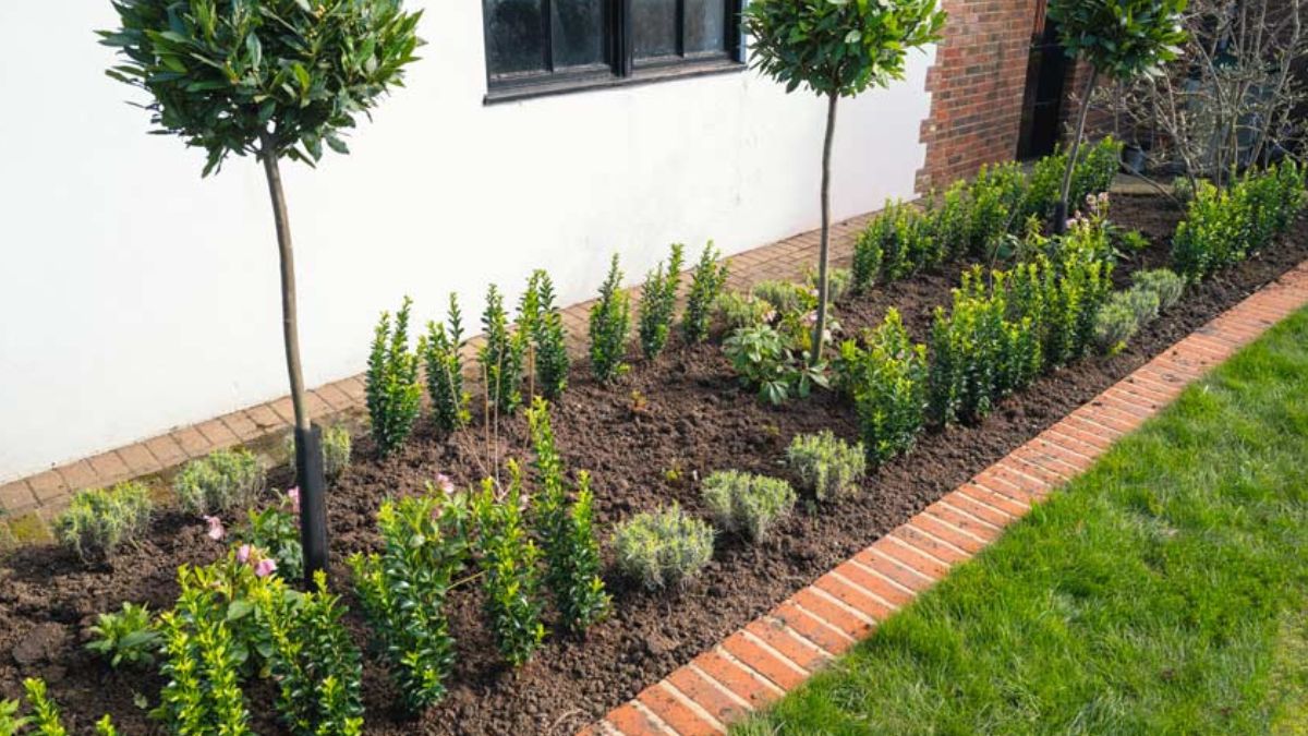 Flower beds with low walls