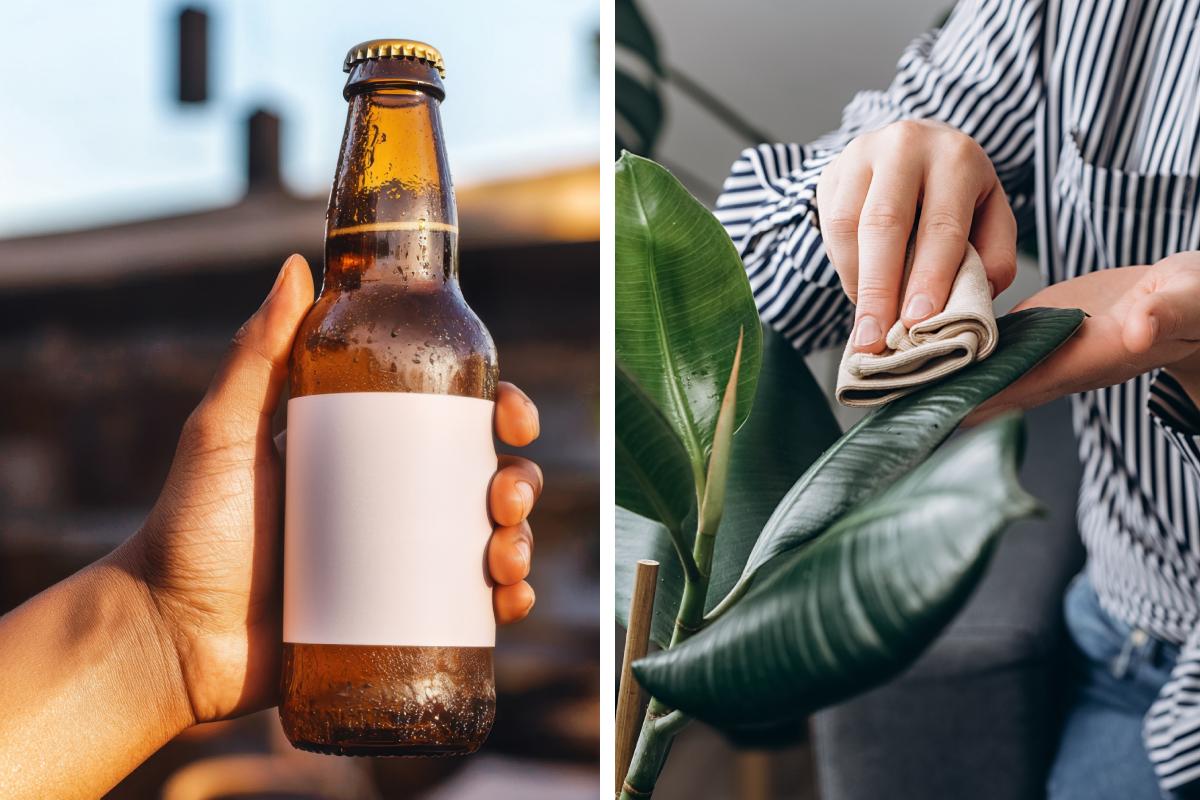 Alternative uses of beer