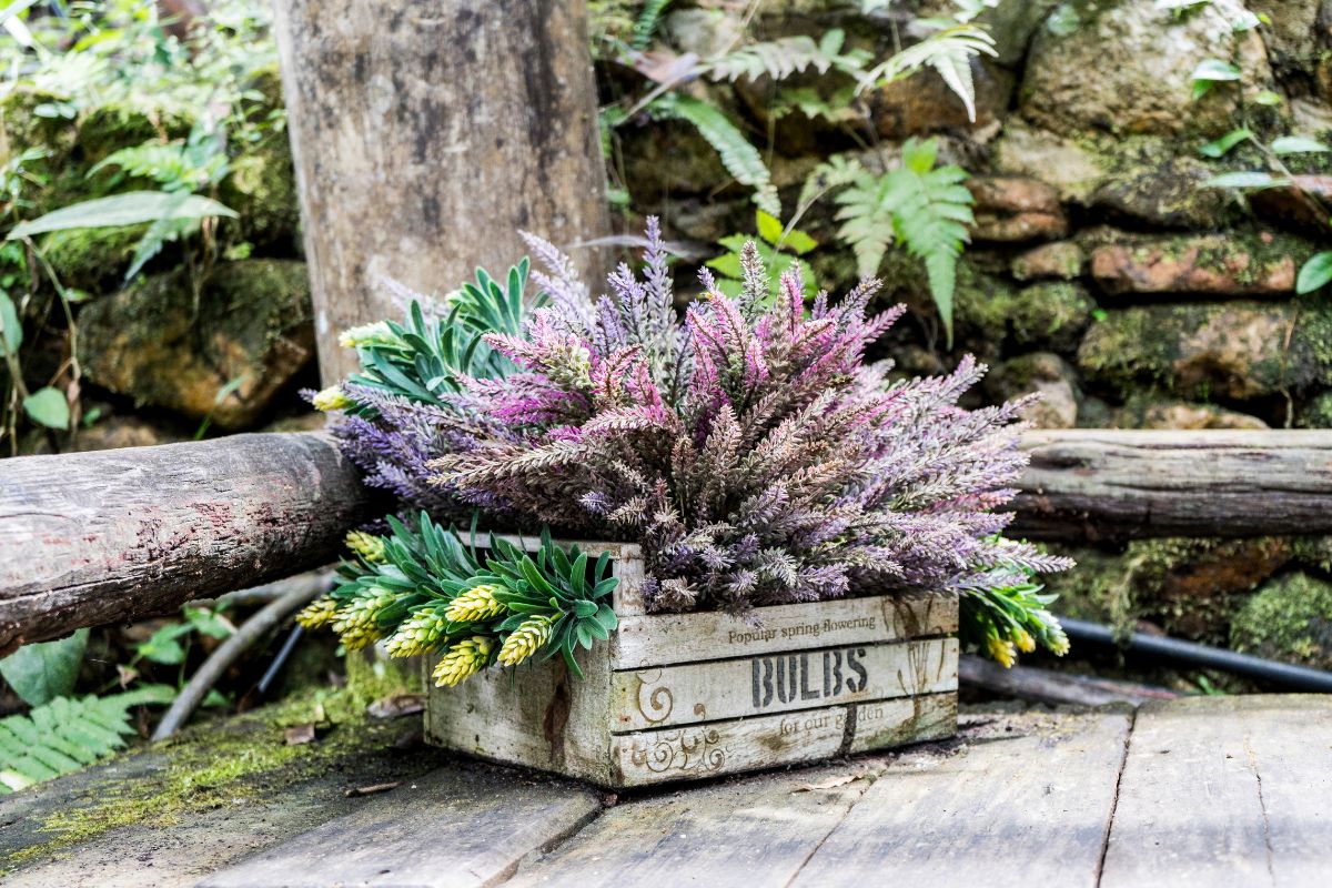 Wooden crates in the garden