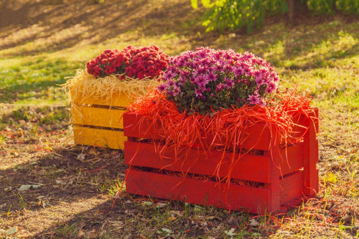 Furniture with wooden boxes