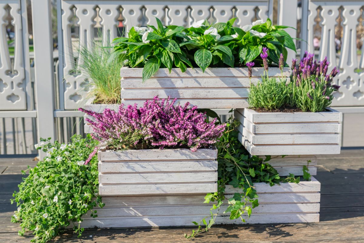 Wooden boxes with wooden boxes