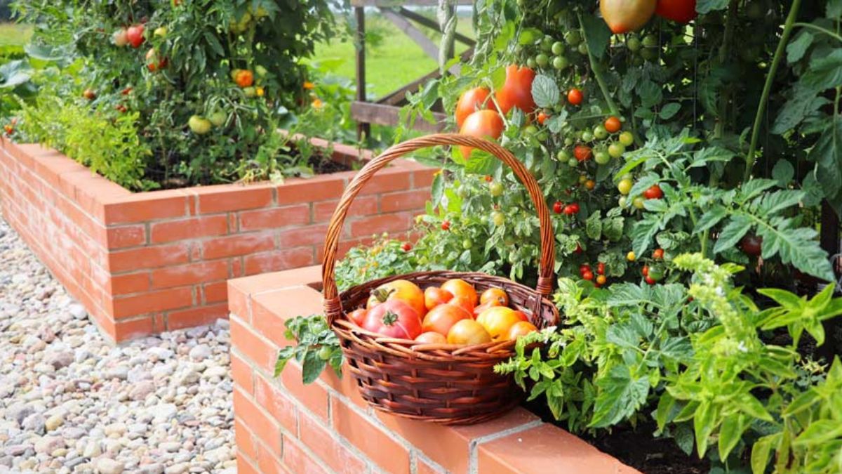 Brick walls for flower beds