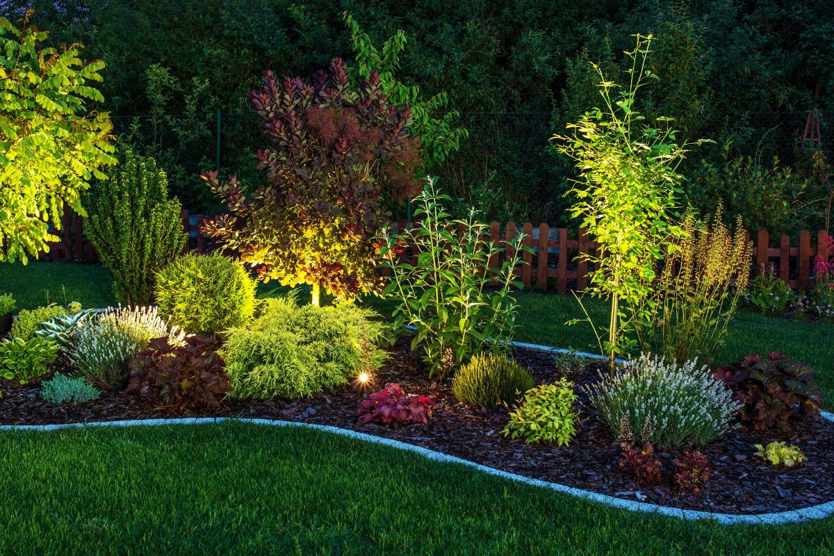 Flower beds choose perfect lighting