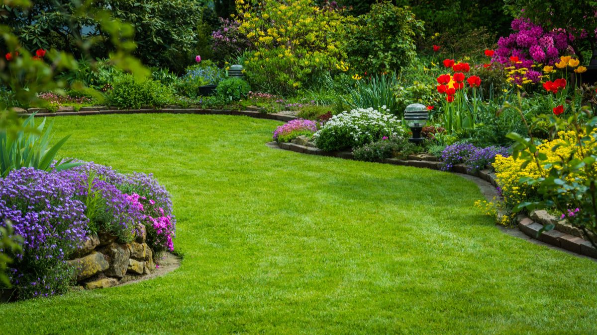 When to sow the lawn