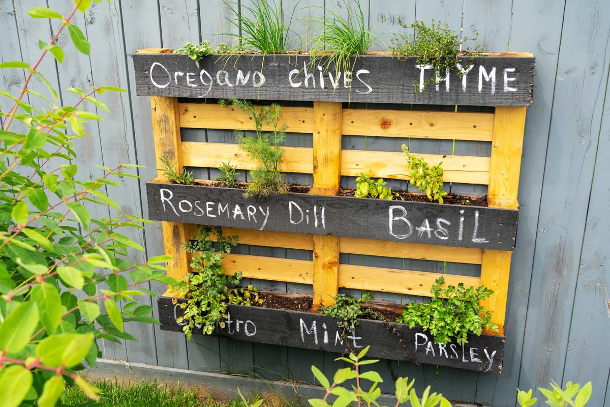 Planters with pallets