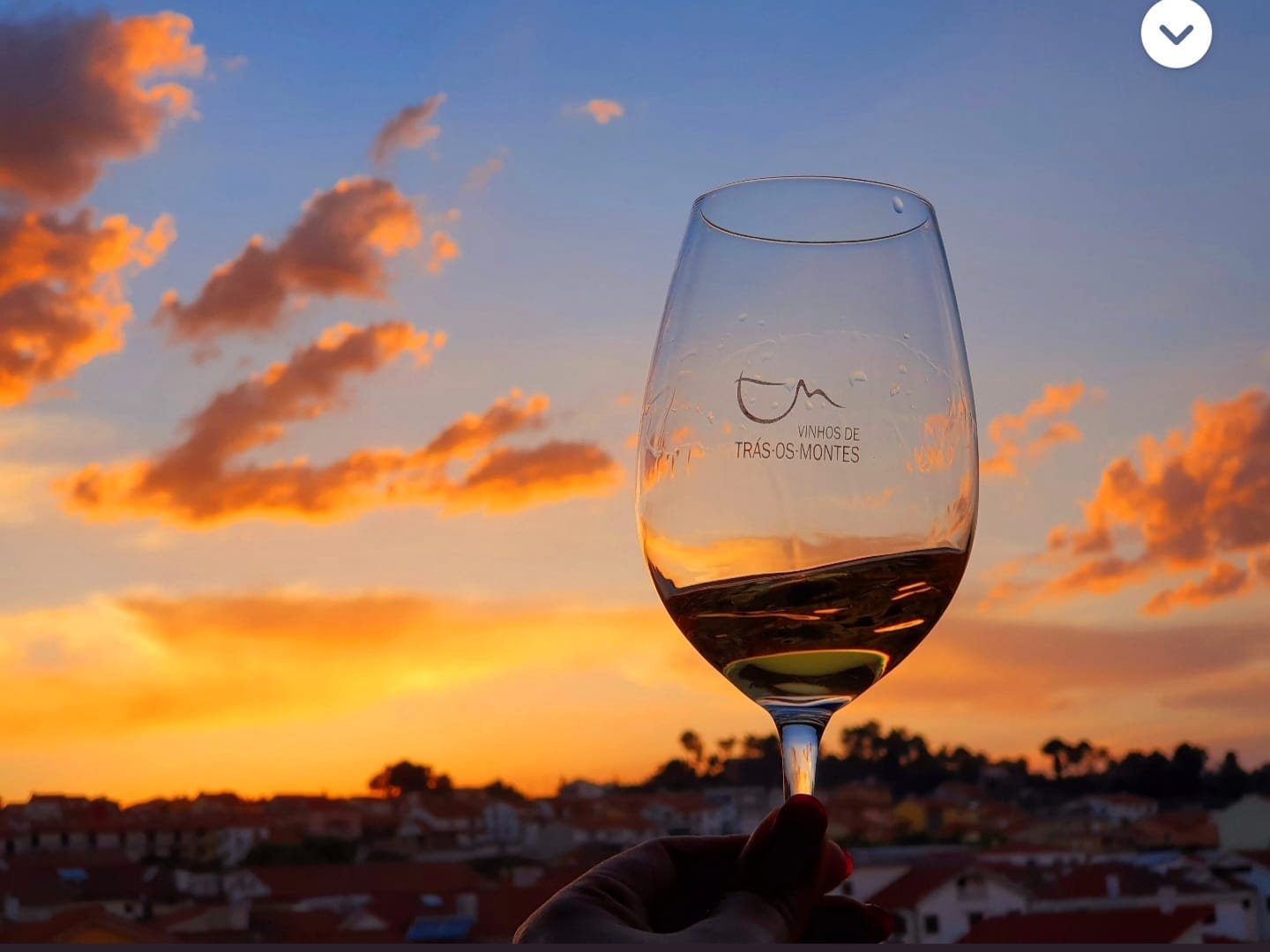 Trás-os-Montes presents its best wines in the Algarve