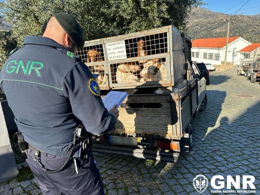 About 200 people arrested in operation of GNR hunting inspection