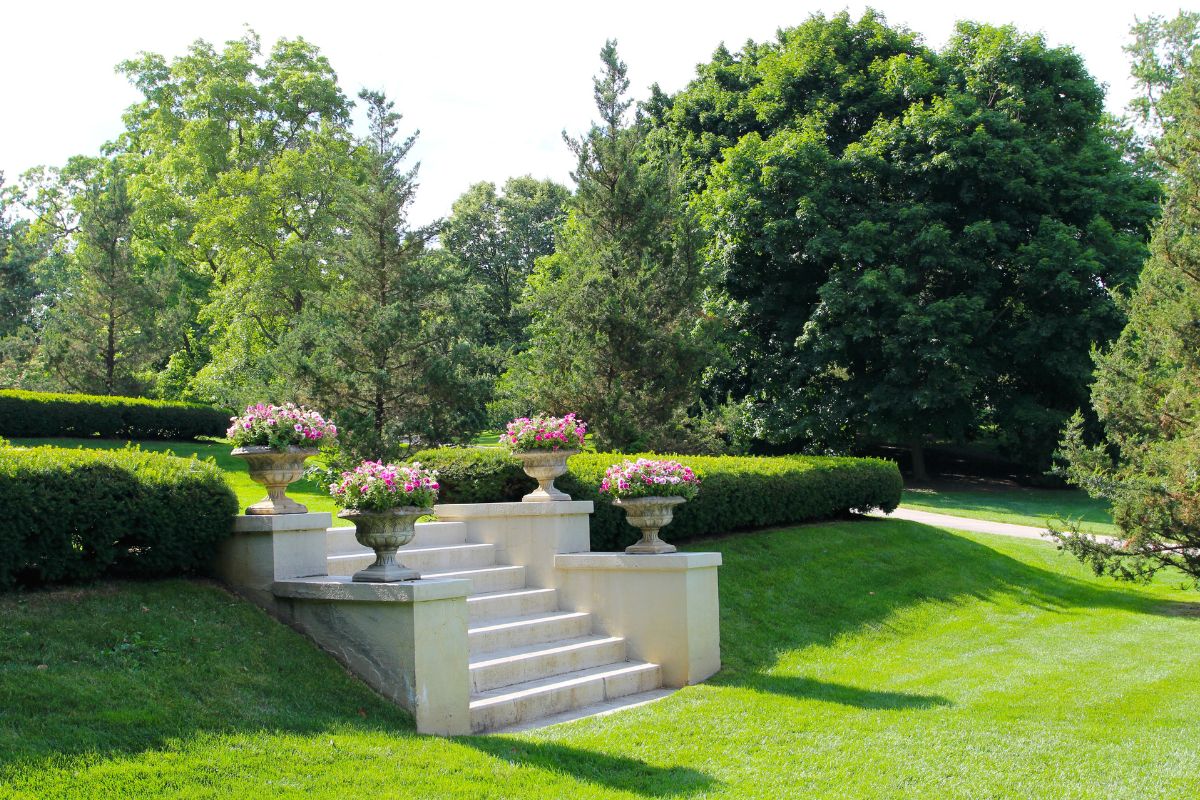 Garden with terrace