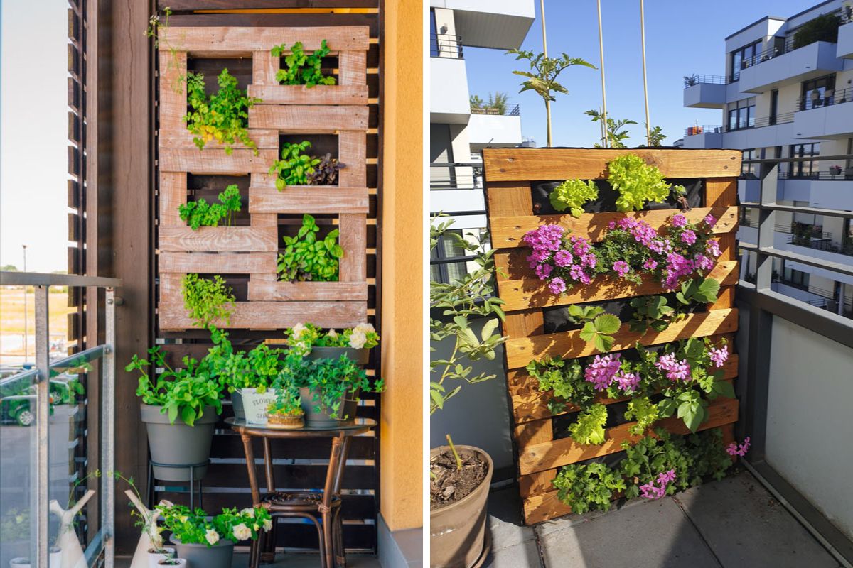 Vertical garden with pallets