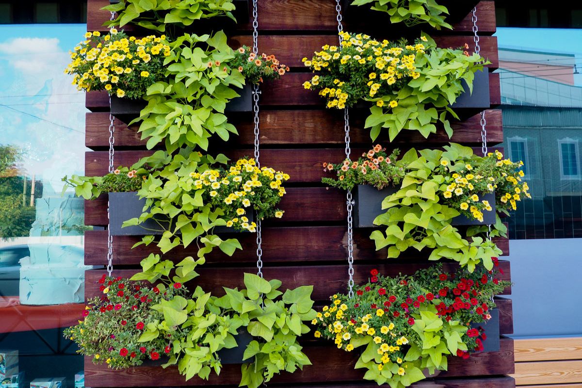 Vertical garden