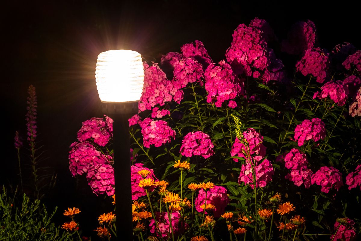 How to illuminate the garden