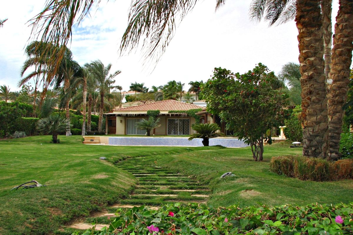 Garden with palm trees