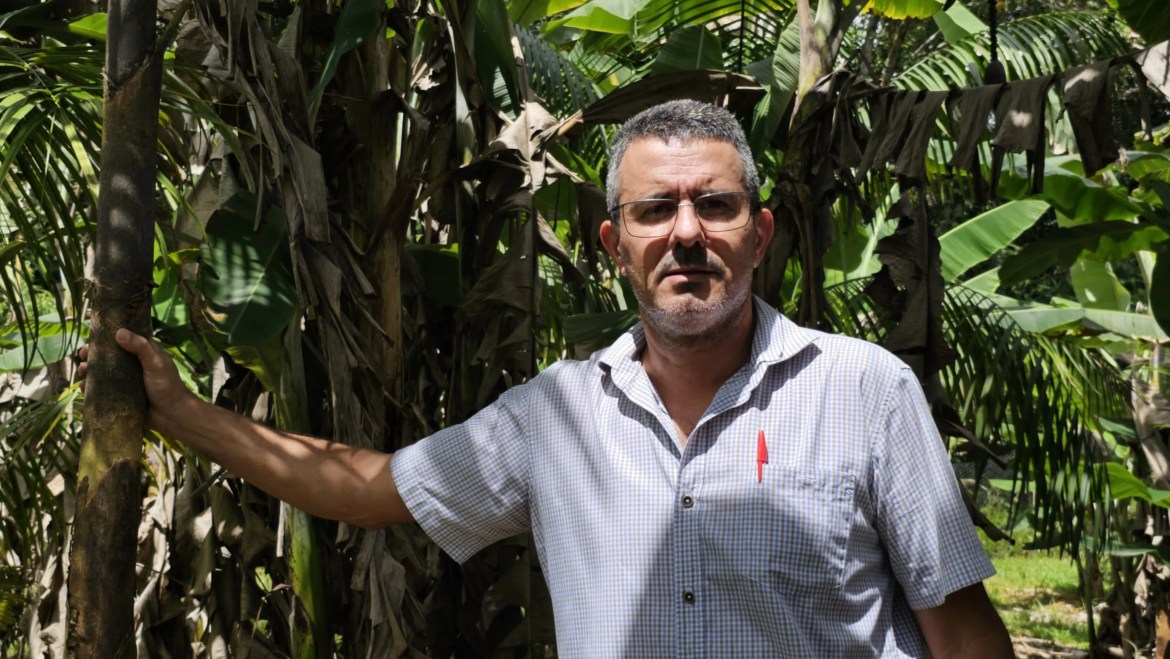 Ufac research can revolutionize the production of açaí state; understand