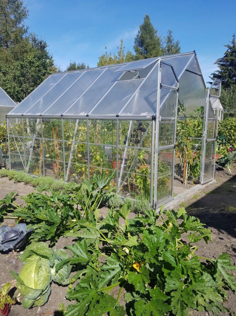 Balance polycarbonate greenhouse 2.44 x 3.67 m Palram - canopia, photo gardenway.lt