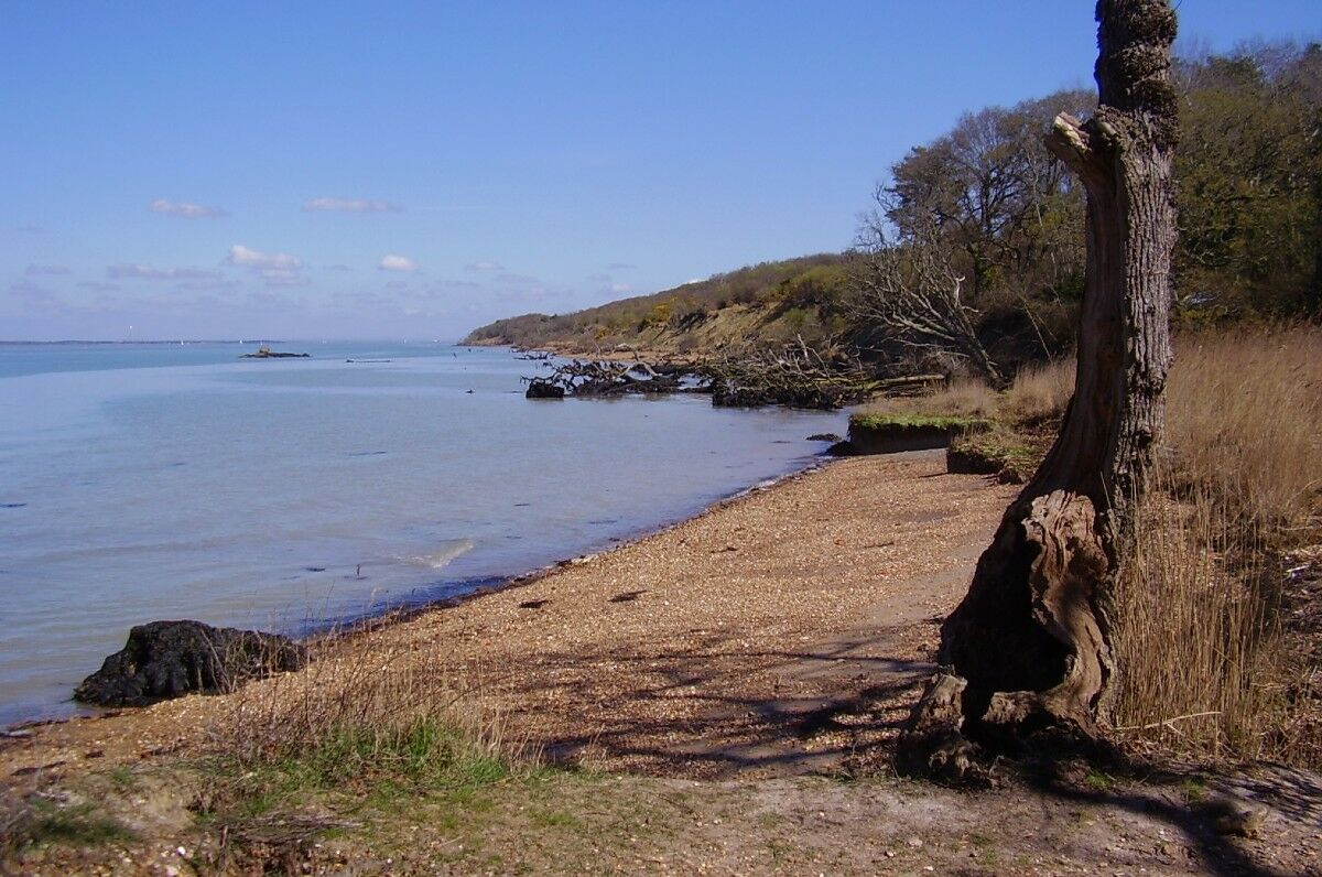 Storm reveals huge dinosaur purple footprint on the beach