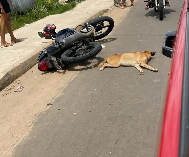 Man suffers motorcycle accident when colliding with dog in Acre; Animal died at the scene