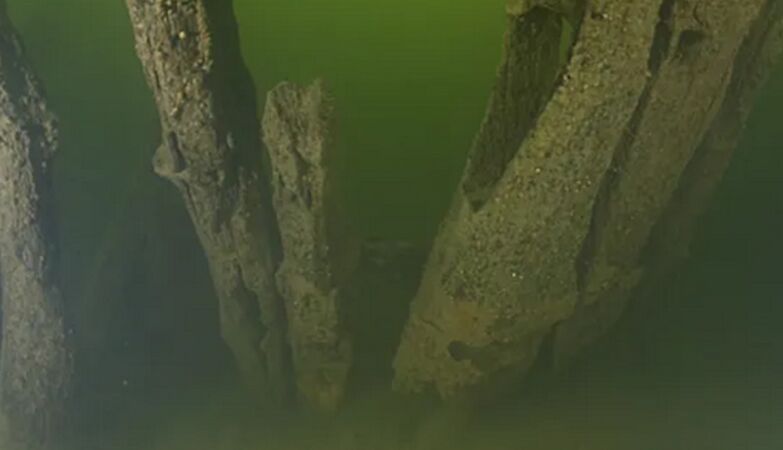 The oldest older wreck ever disappointed archaeologists