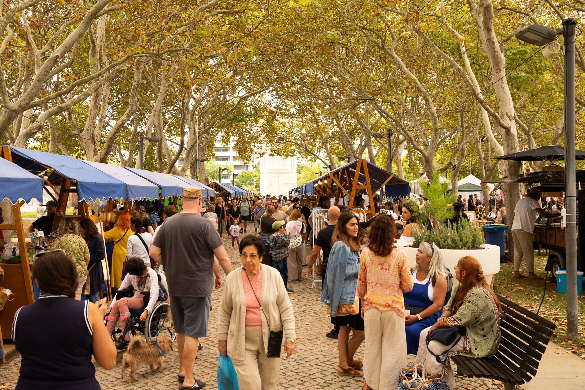 Entrepreneurs and sustainable breeders can now sign up for Fava 2025 in Loulé