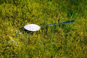 German method to get rid of moss from the lawn. Crush, sprinkle the grass and water. The moss will disappear in the blur. Home remedies to get rid of moss from the lawn