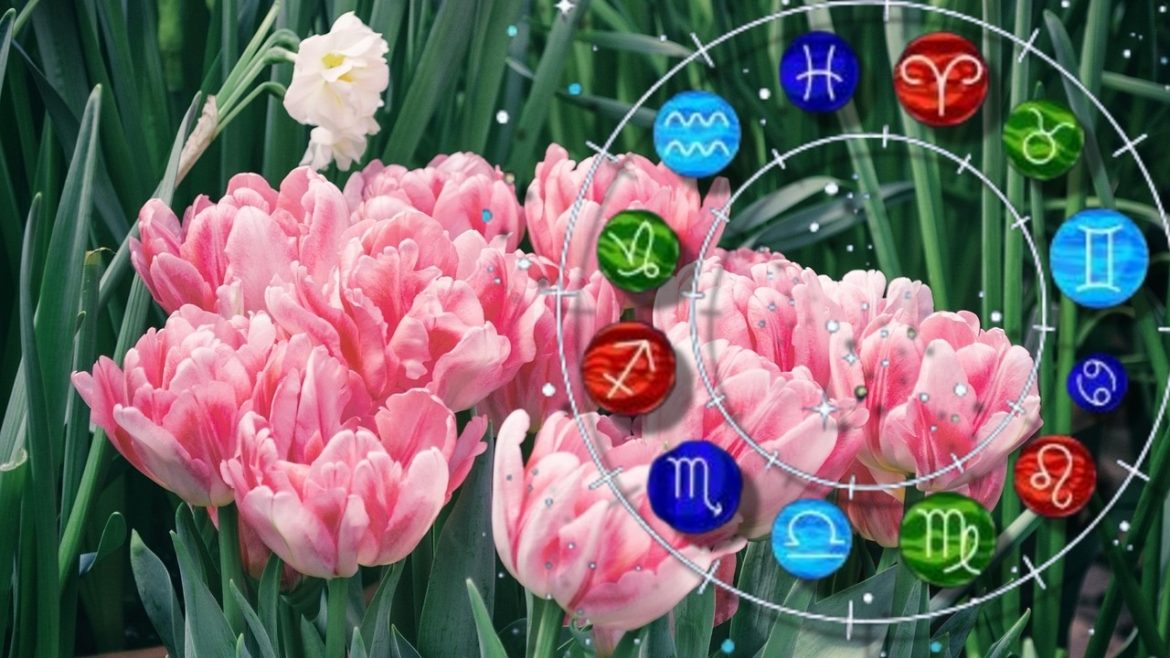 Horoscope March 25, 2025. Any incursion on a new financial Horoscope March 25, 2025. Any incursion on a new financial territory could fail. Pay attention to "asthenia" from love