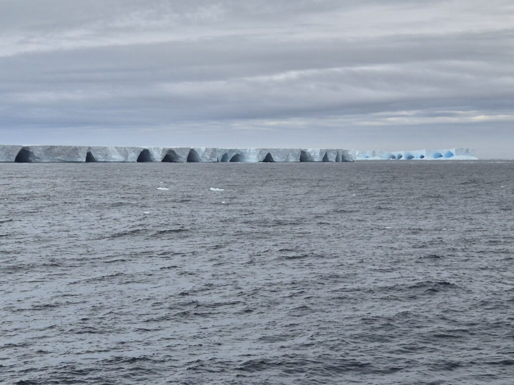 Largest iceberg on the planet straps a few kilometers from an island full of wildlife