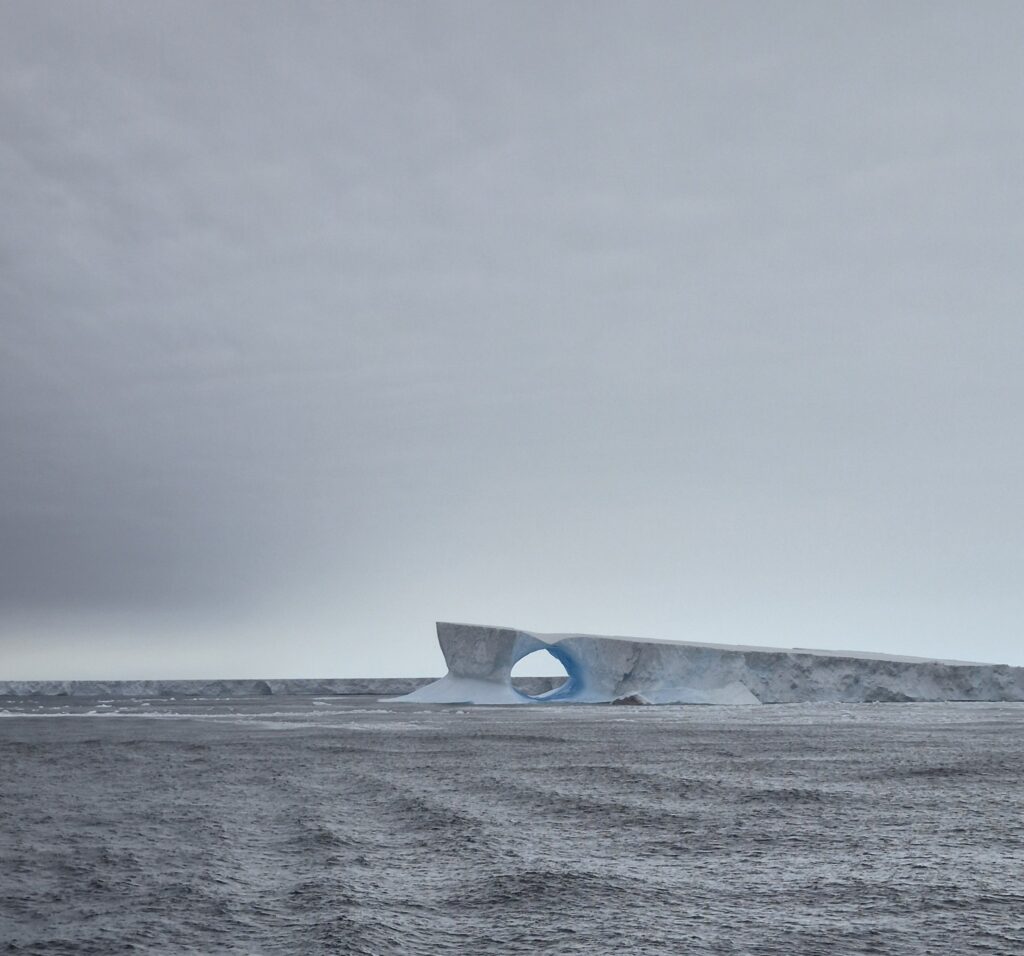 Largest iceberg on the planet straps a few kilometers from an island full of wildlife