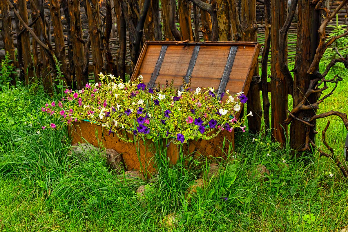 How to create original flower beds? 10 creative ideas to copy immediately