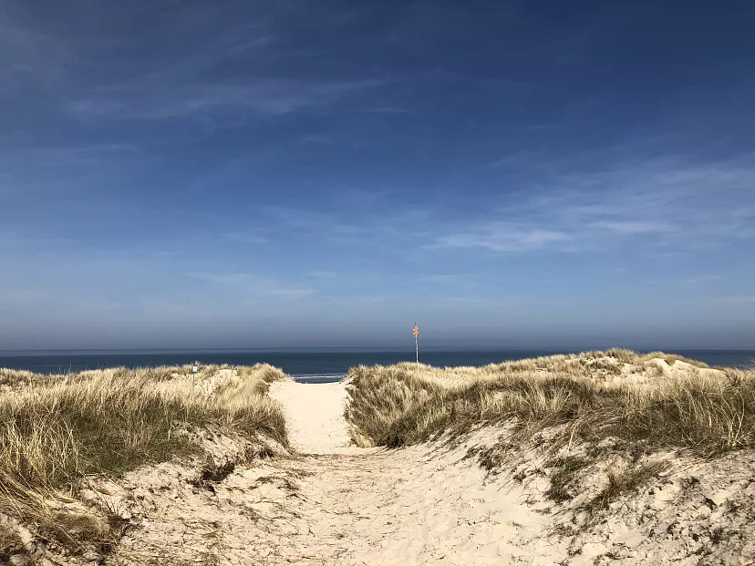 English elect better winter beaches in Europe: three Portuguese and one in the Algarve