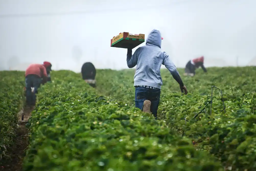 Number of immigrants fired from 2% to 10% in 20 years, compensating for falling the Portuguese population