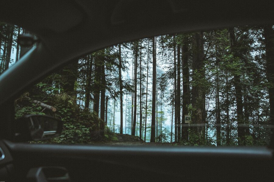 Child died strangled by car window in the wood