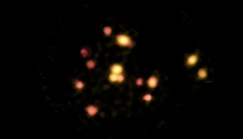 Baby galaxy swarm has a fuel deposit that feeds the formation of stars
