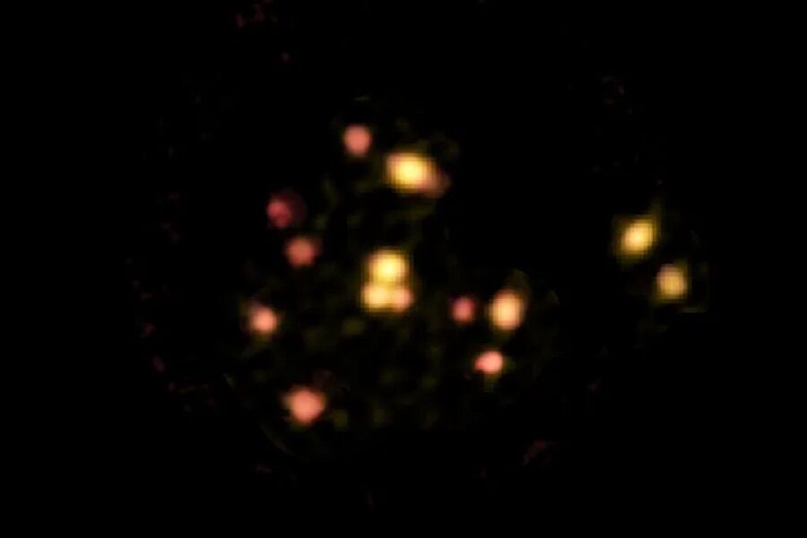 Baby galaxy swarm has a fuel deposit that feeds the formation of stars
