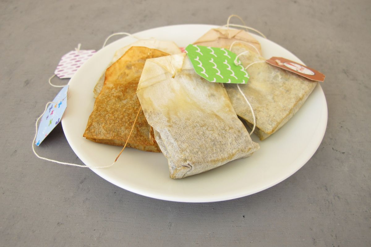 fertilize plants with tea sachets